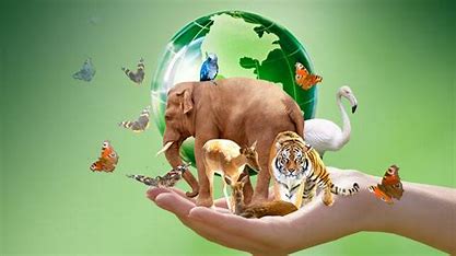 Educación ambiental