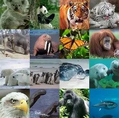 Especies en peligro
