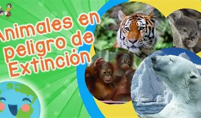 Tigre en peligro