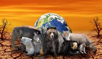 Educación ambiental