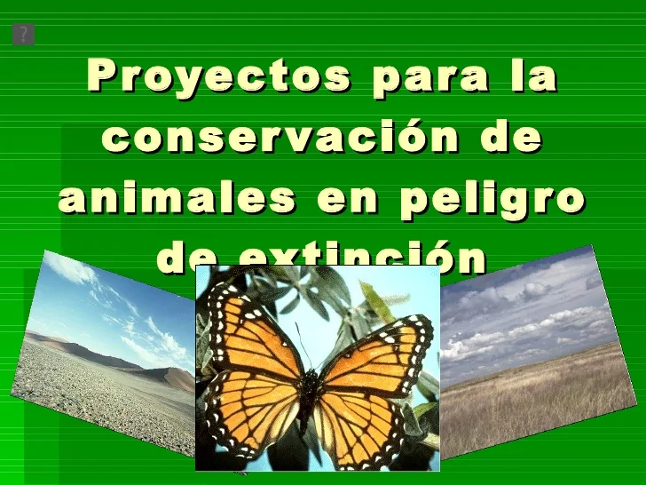 Proyectos varios